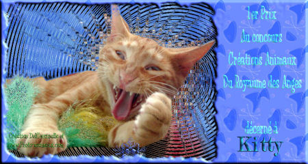 1er prix 'animaux'